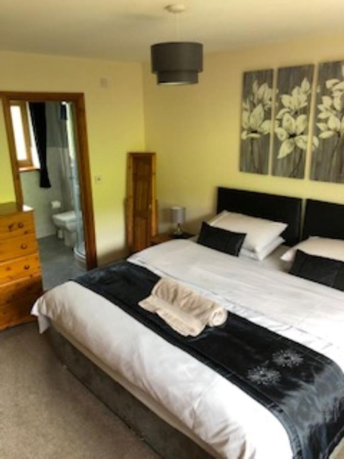 Nant-Y-Glyn Villa Llandrindod Wells Dış mekan fotoğraf