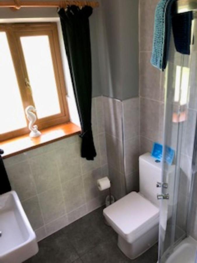 Nant-Y-Glyn Villa Llandrindod Wells Dış mekan fotoğraf